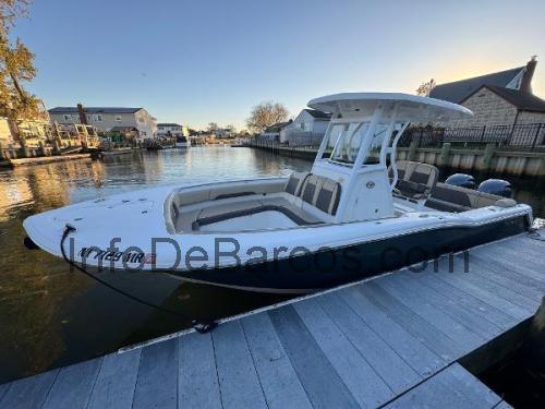 Tidewater 252 LXF ficha técnica y opiniones